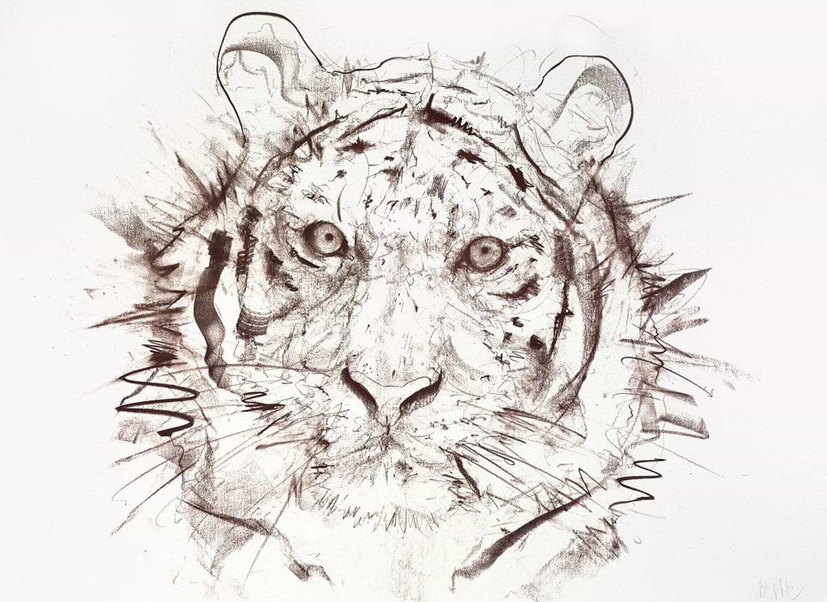 Tiger Study I