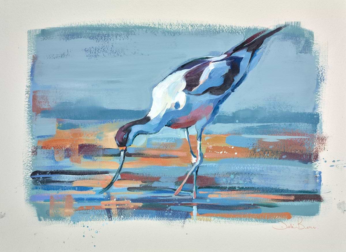 Oyster Catcher