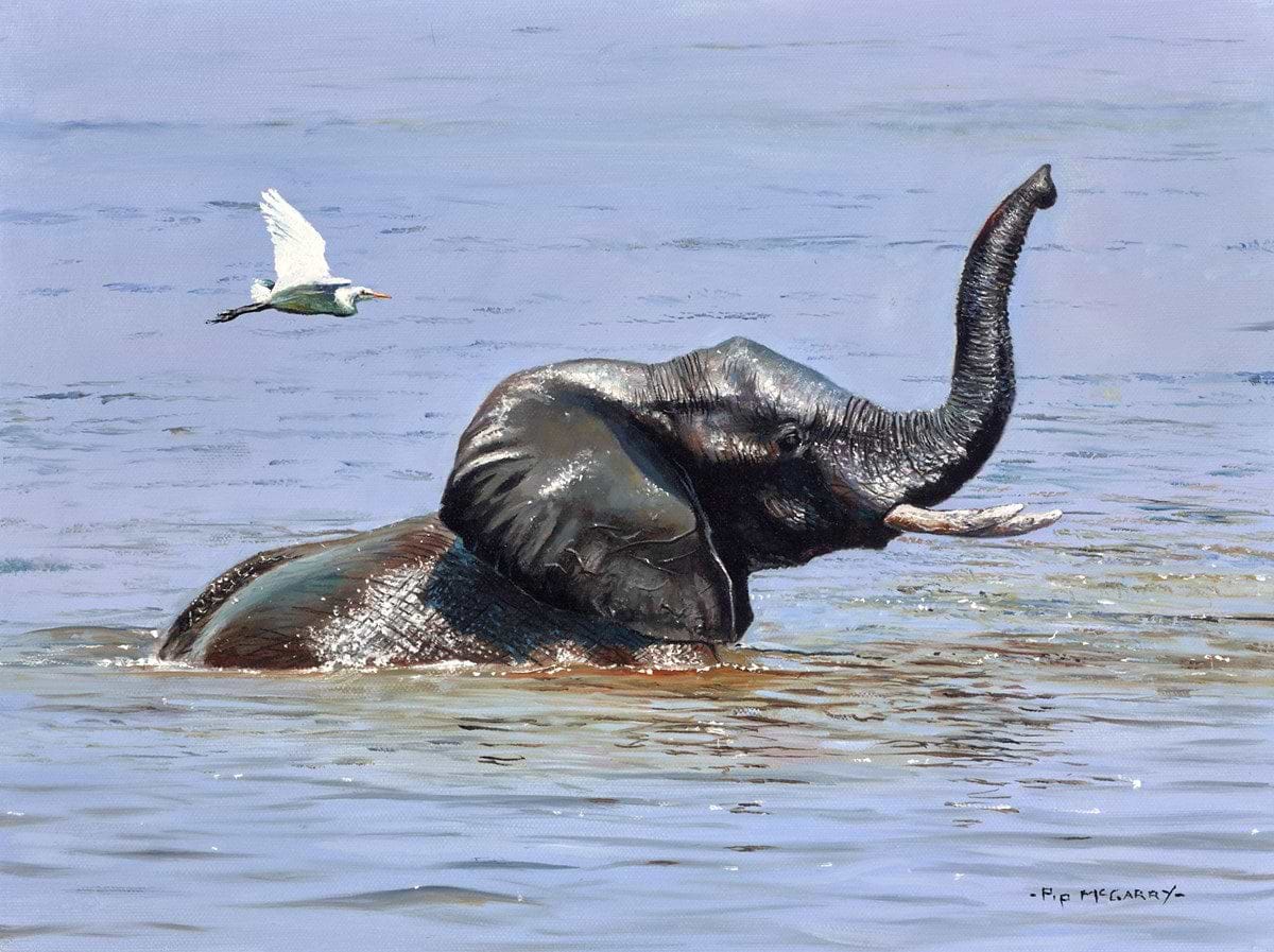 Demo "Elephant in the Chobe River"