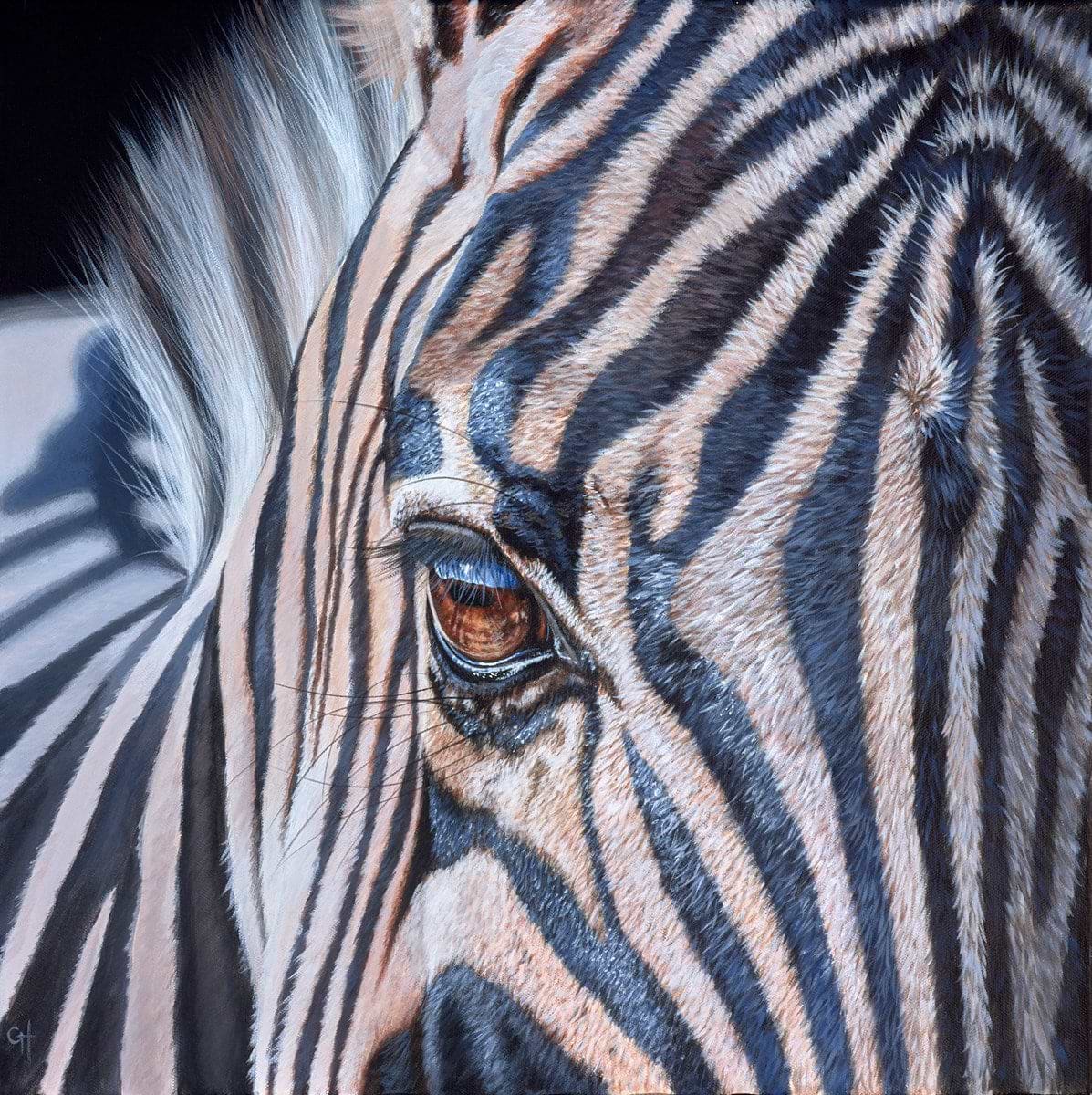 Zebra III
