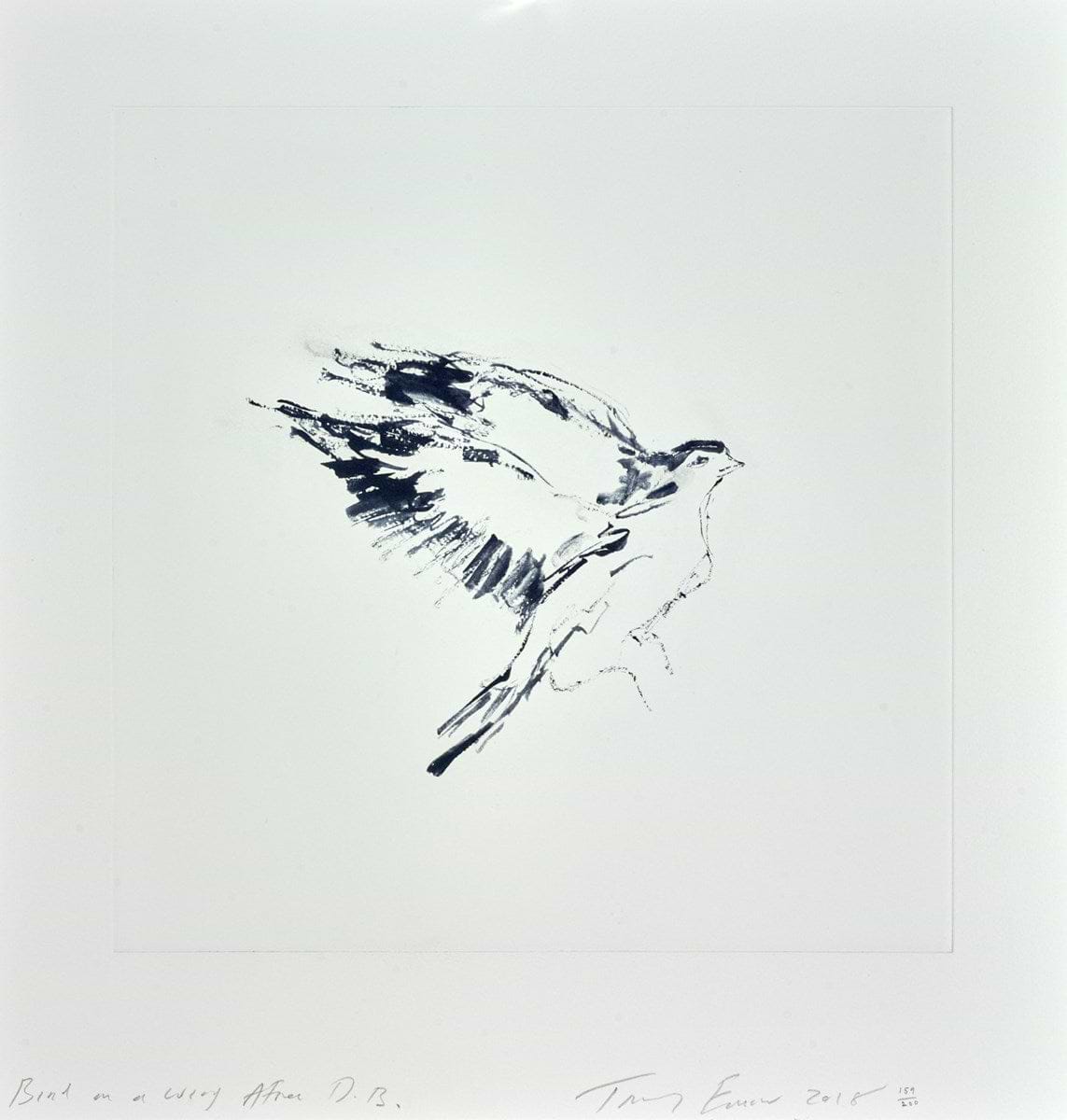 Bird on a Wing after DB