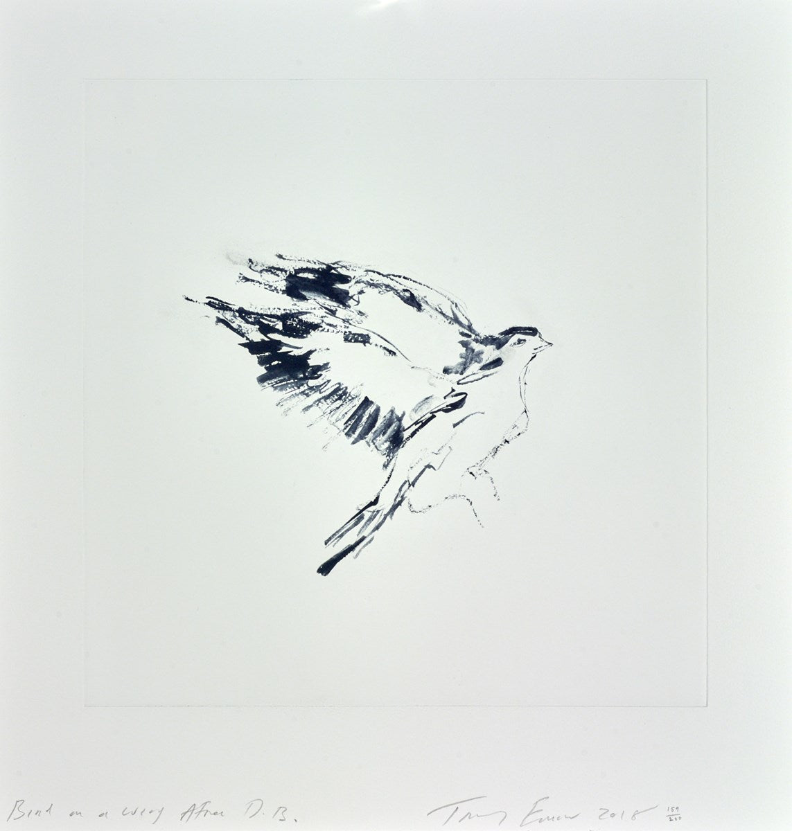 Bird on a Wing after DB