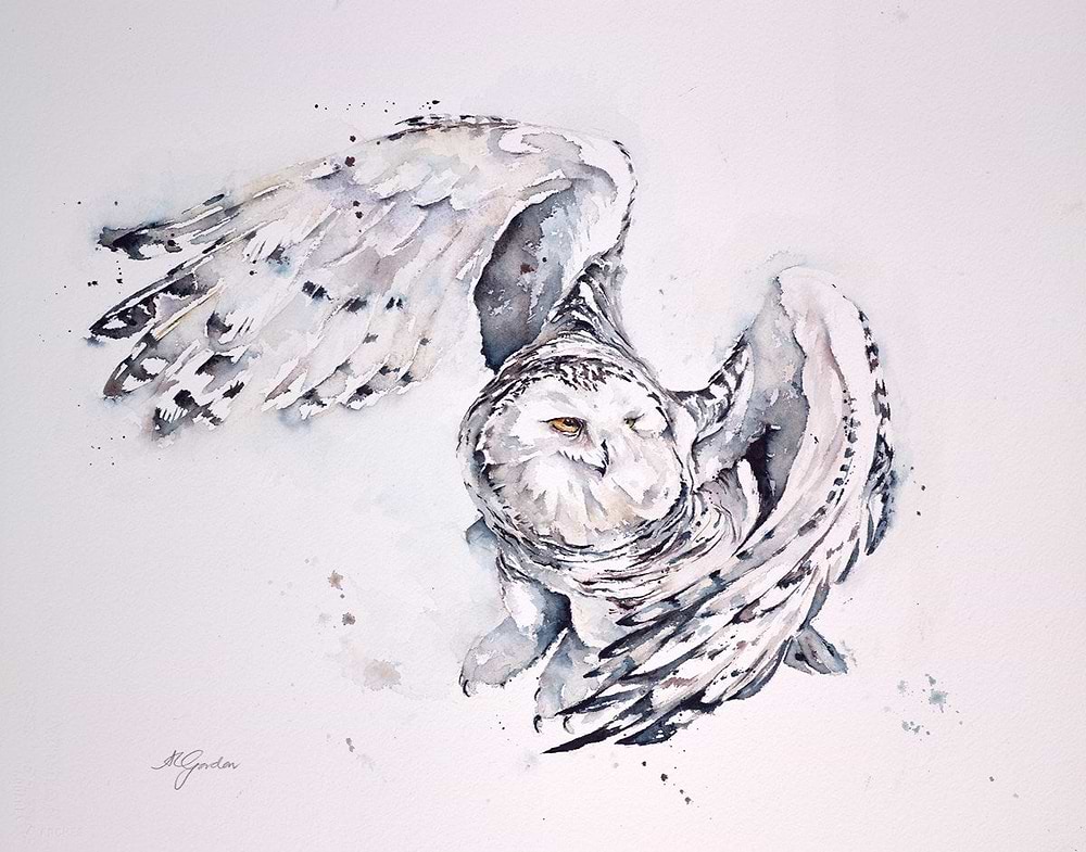 Snow Owl in Flight