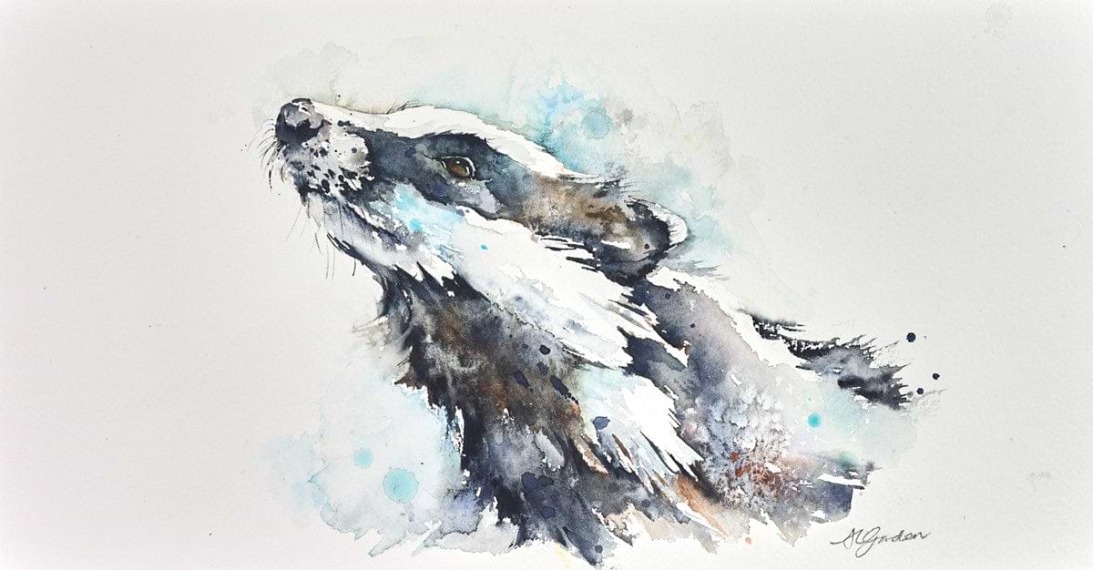 Smelling the Morning - Young Badger