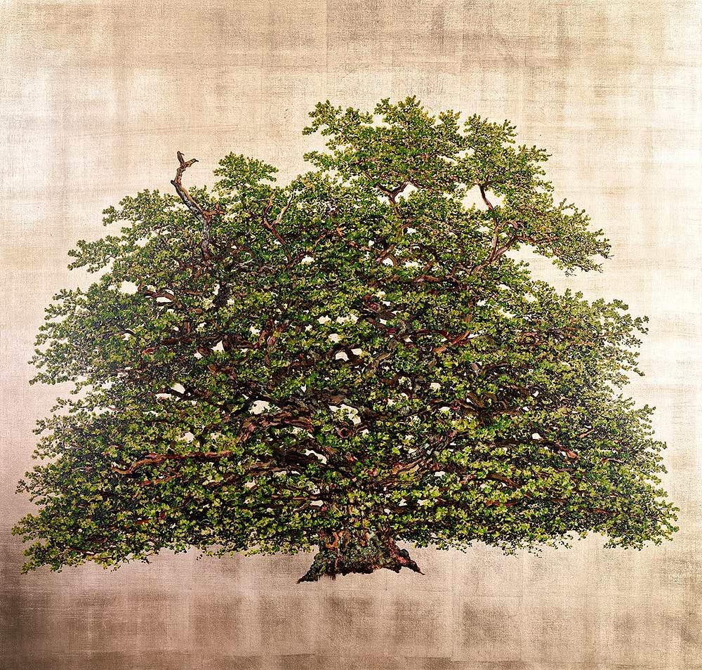 Bollingbroke Oak