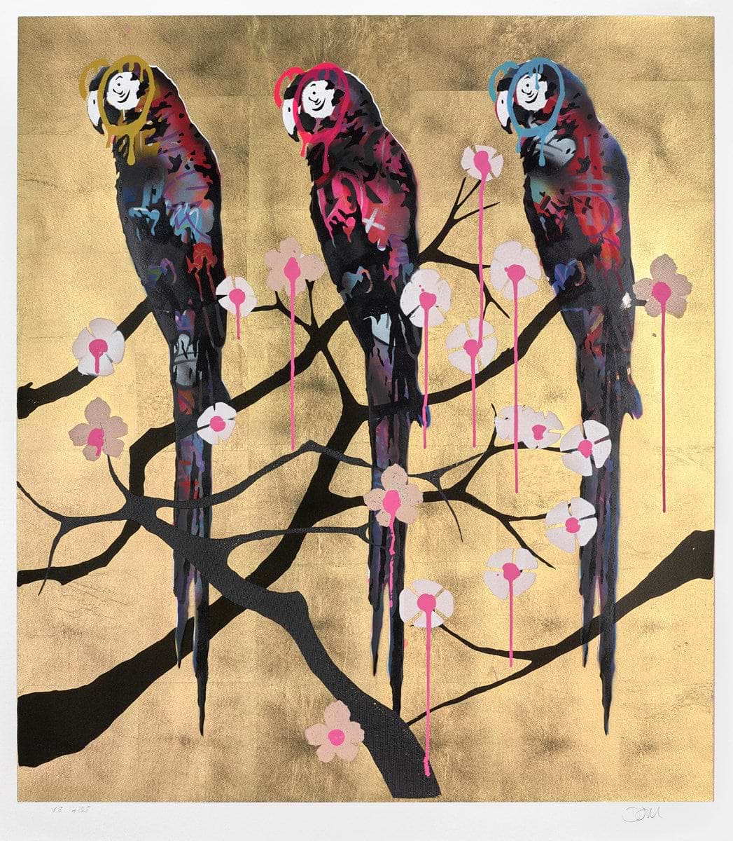Polly Folly 14/25