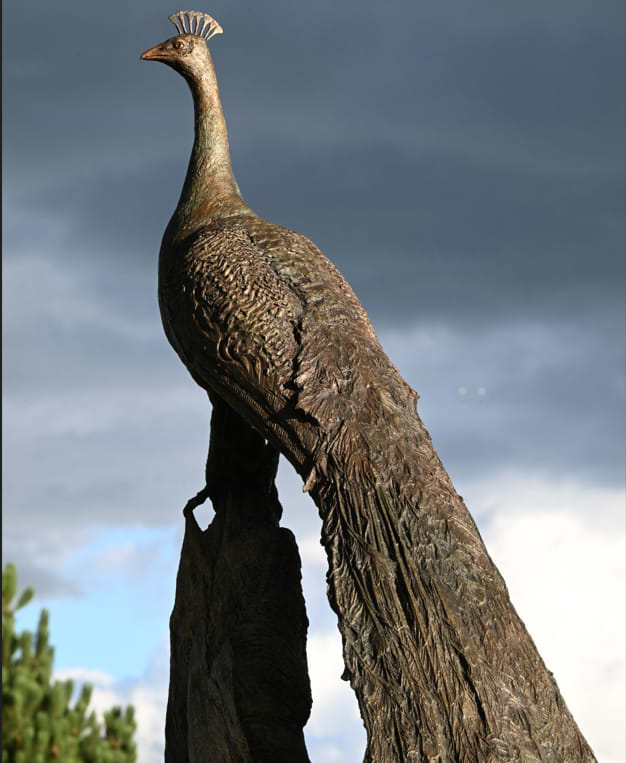 Peacock Life Size 2025