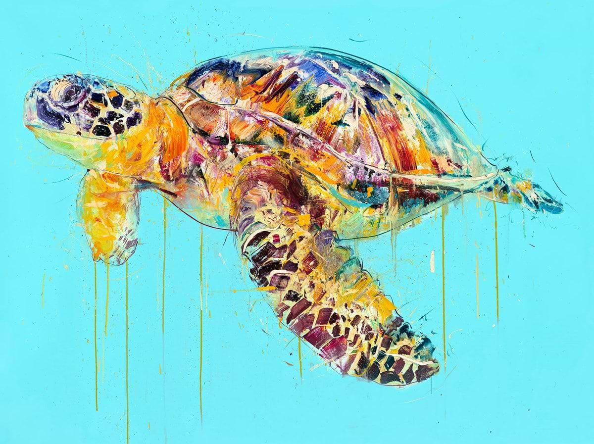 Sea Turtle | Dave White – Clarendon Fine Art