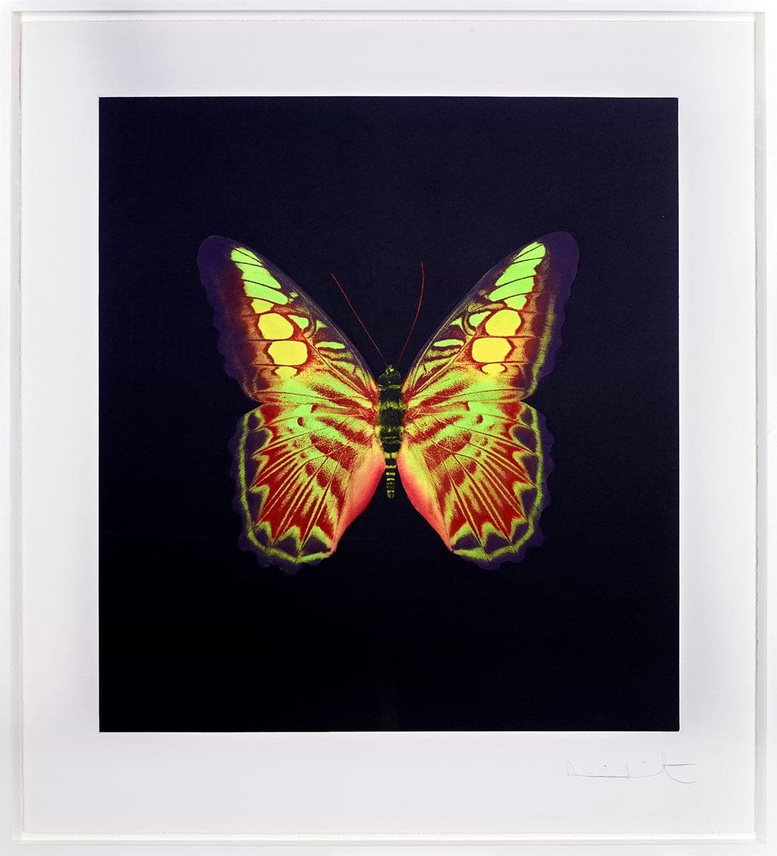 Plate 2, from: The Souls on Jacob's Ladder Take Their Flight