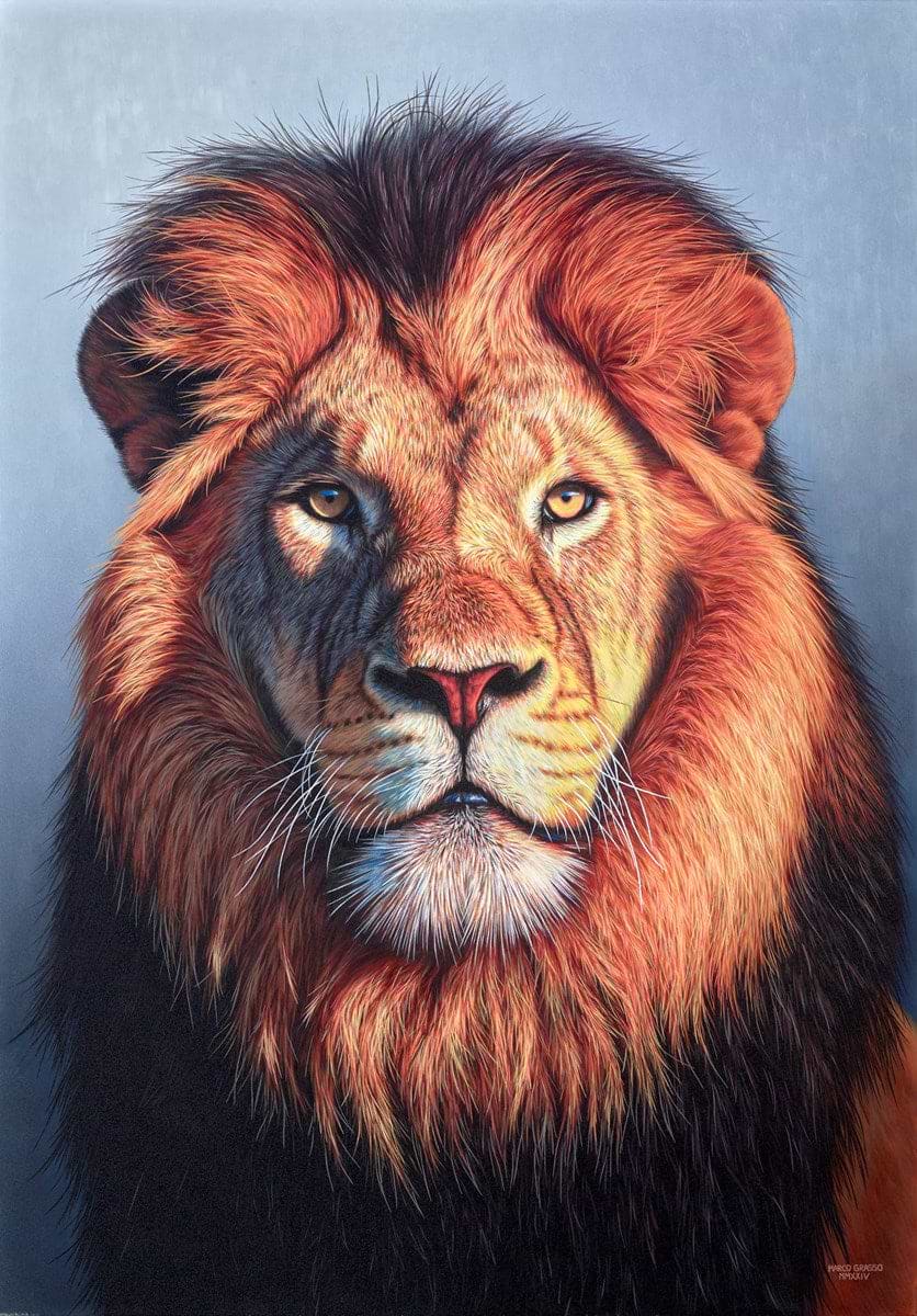 The Lion’s Gaze