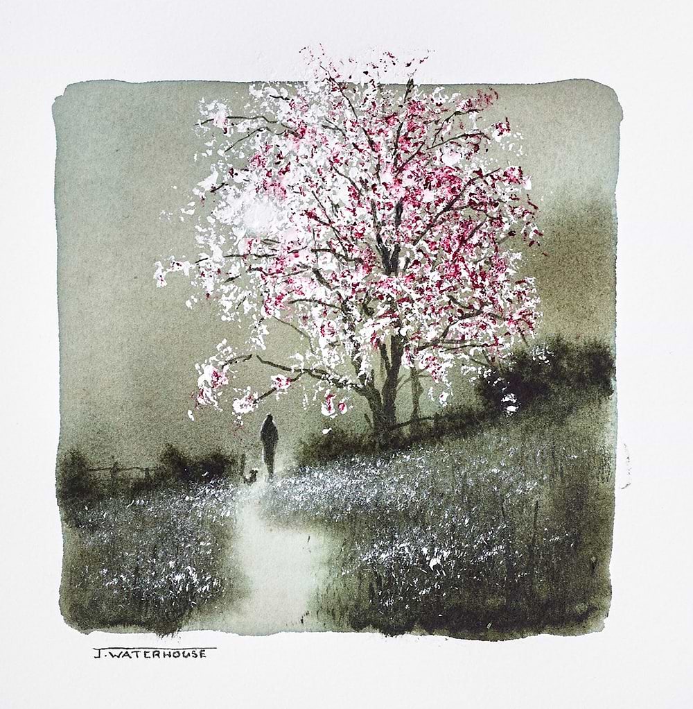 Beyond the Fairy Tree