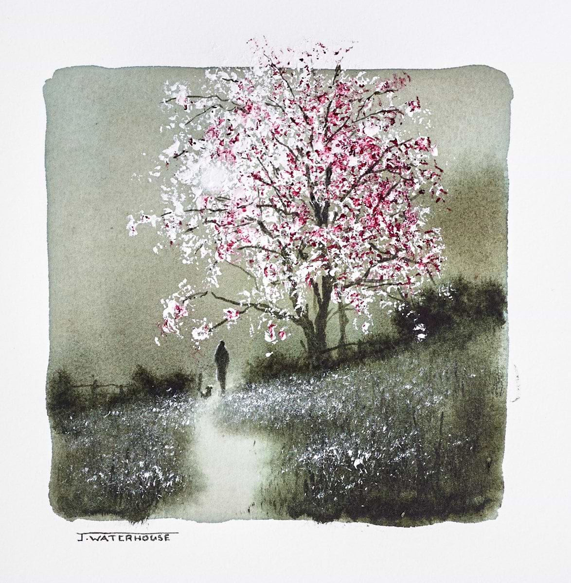 Beyond the Fairy Tree