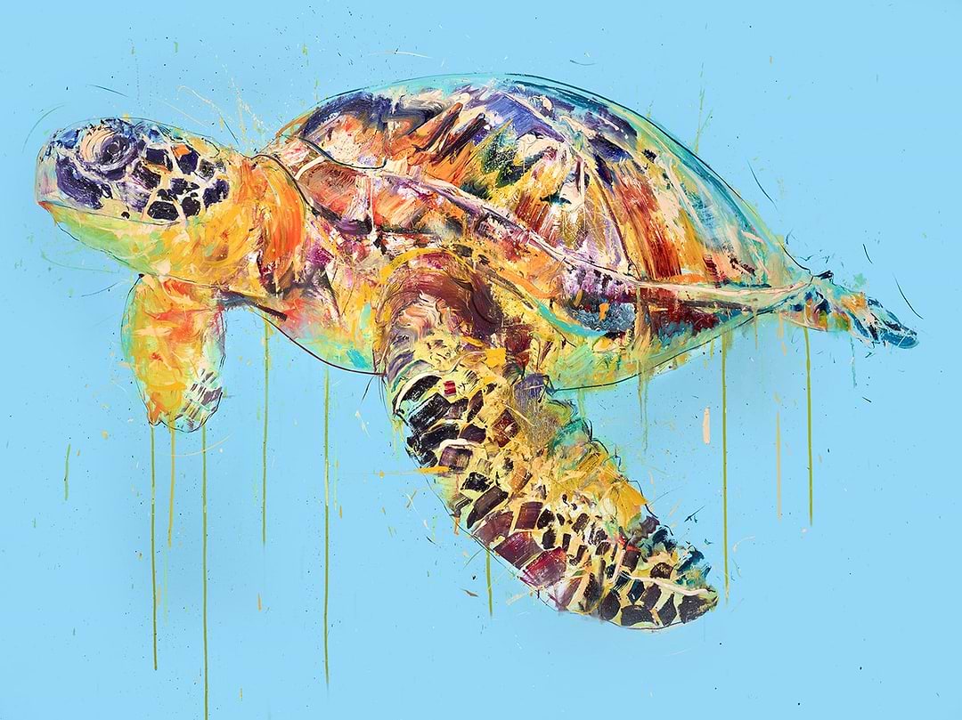 Sea Turtle