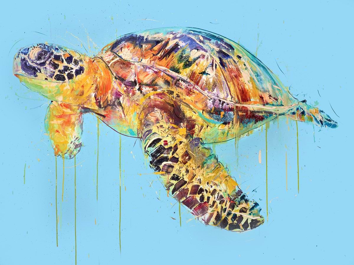 Sea Turtle