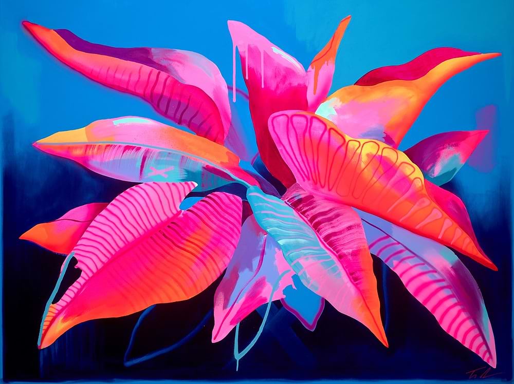 Pink Philodendron