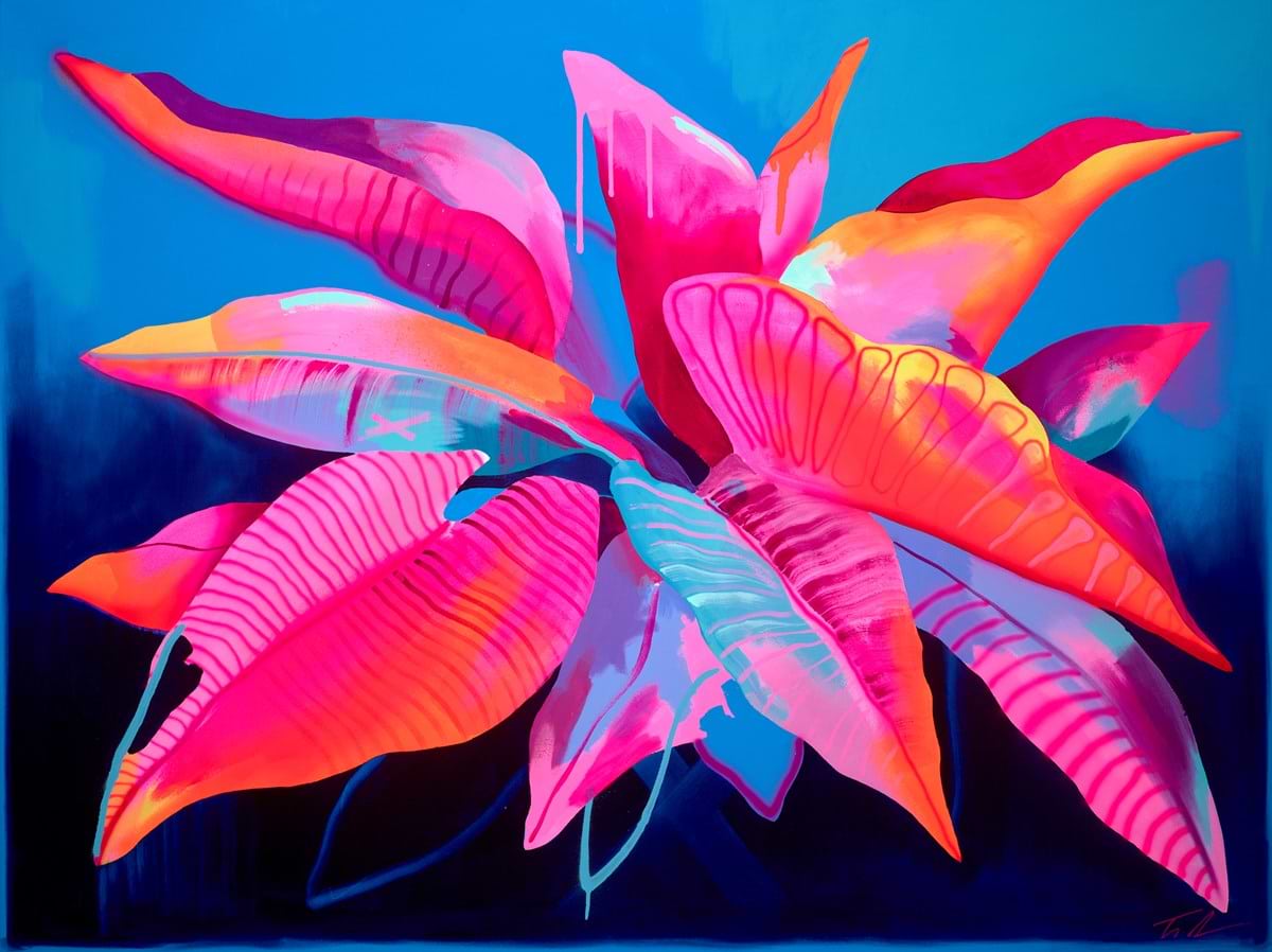 Pink Philodendron