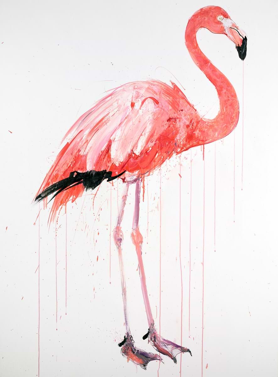 Flamingo II