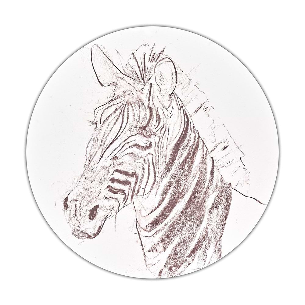 Grevy's Zebra Sketch