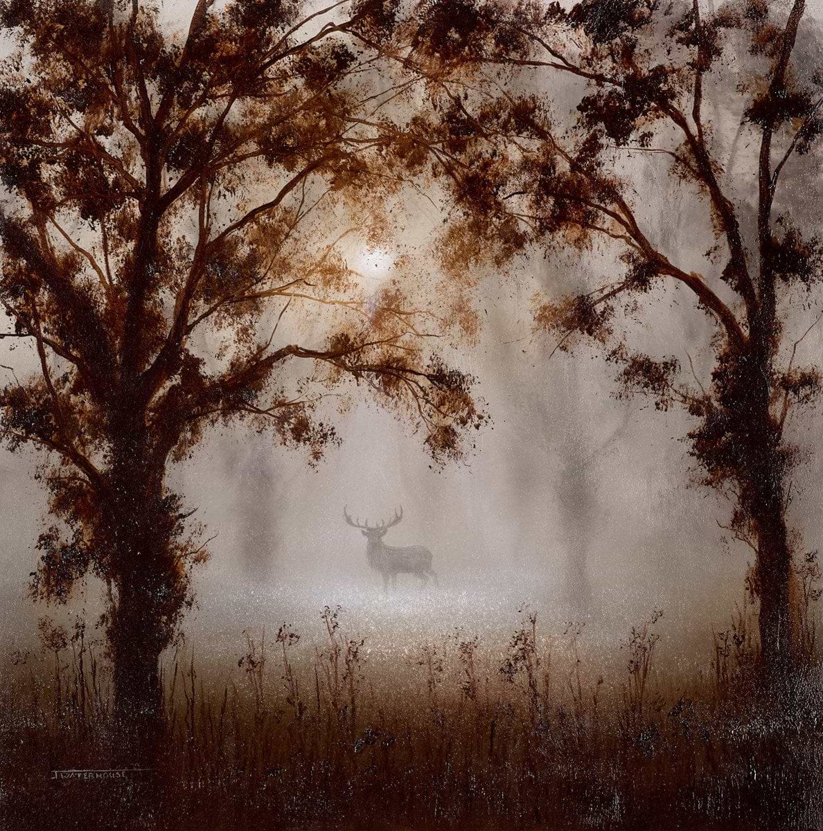 A Moment in Time
