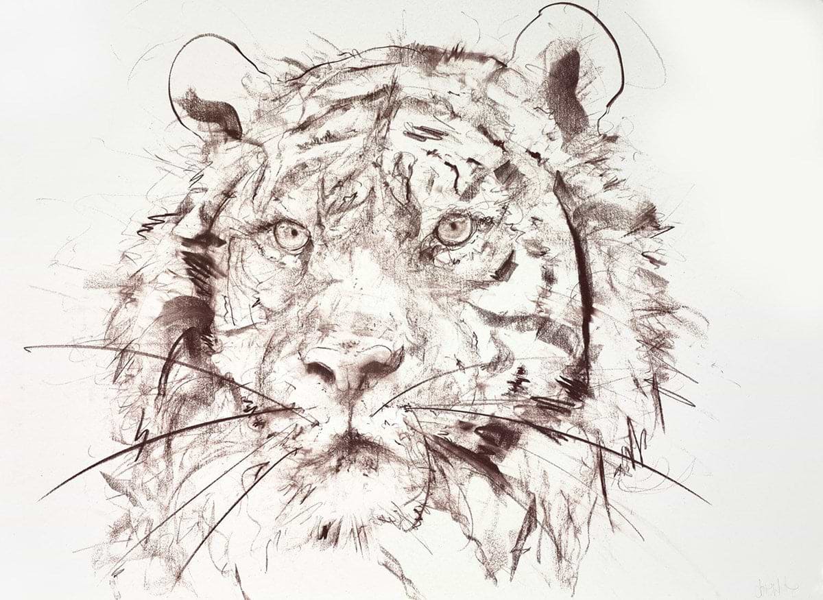 Tiger Study III