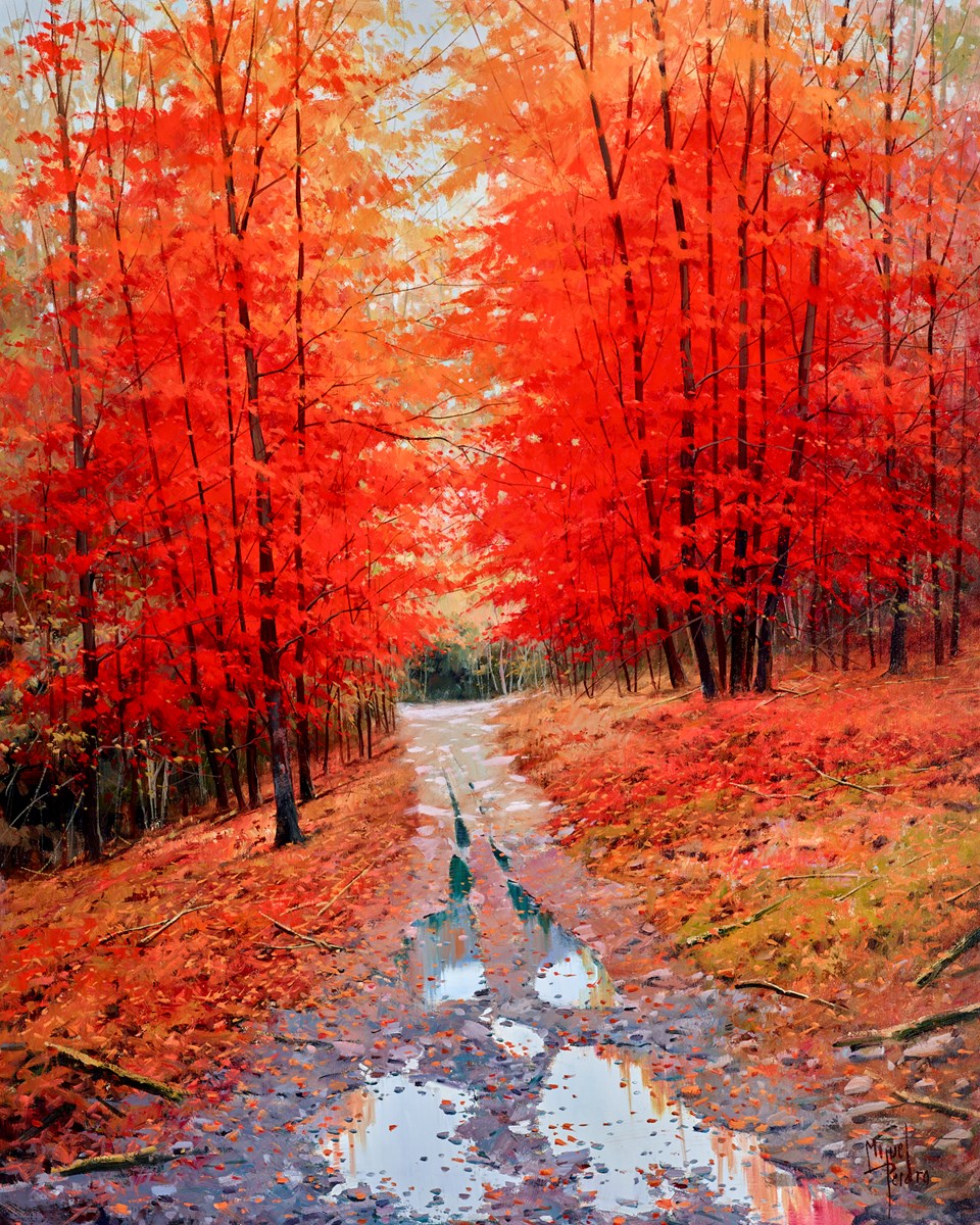 Lluvia en Otoño