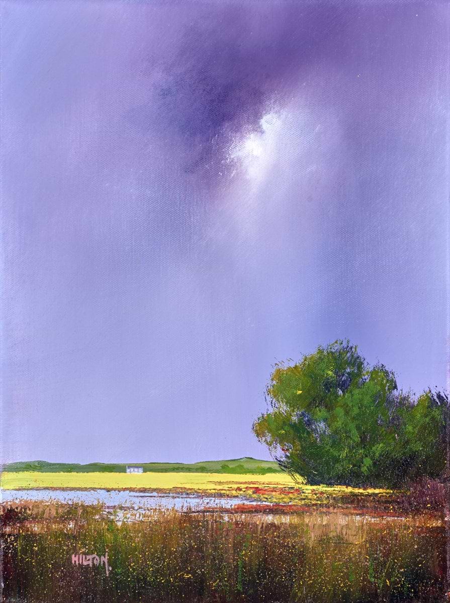 Wet Field Bog