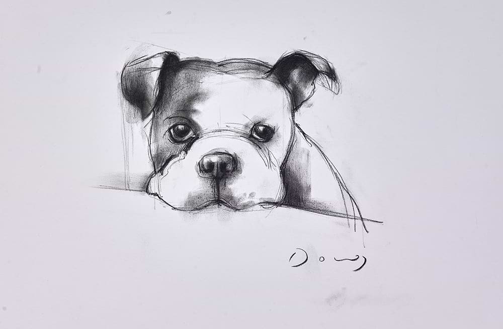 The Bulldog