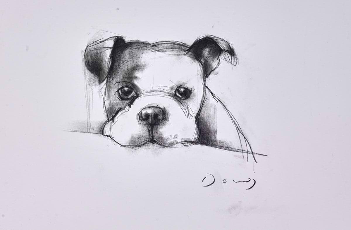 The Bulldog