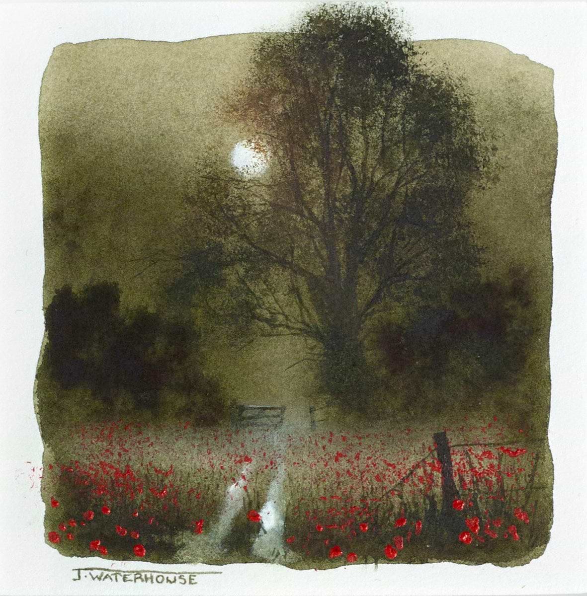 Poppies(study)