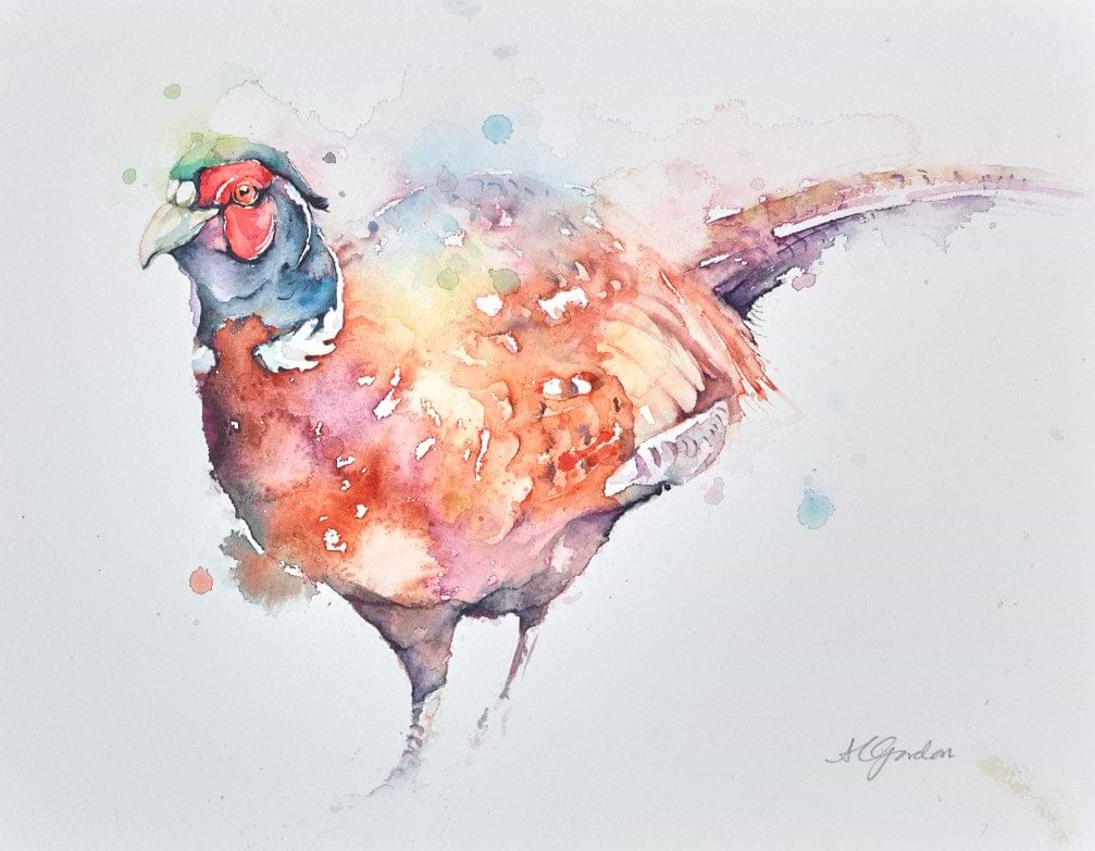 Handsome Male Pheasant