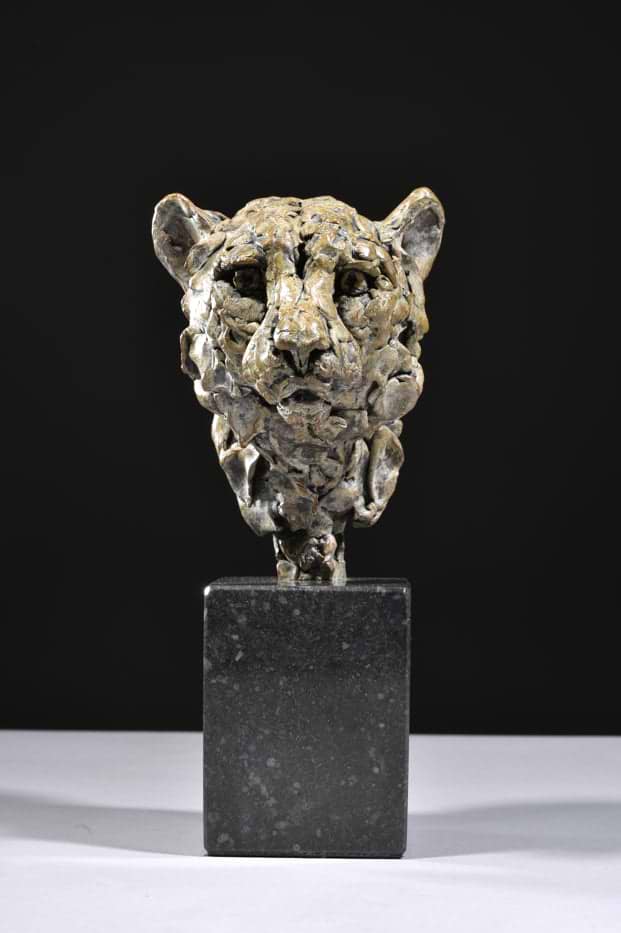 Cheetah Head Study 2023