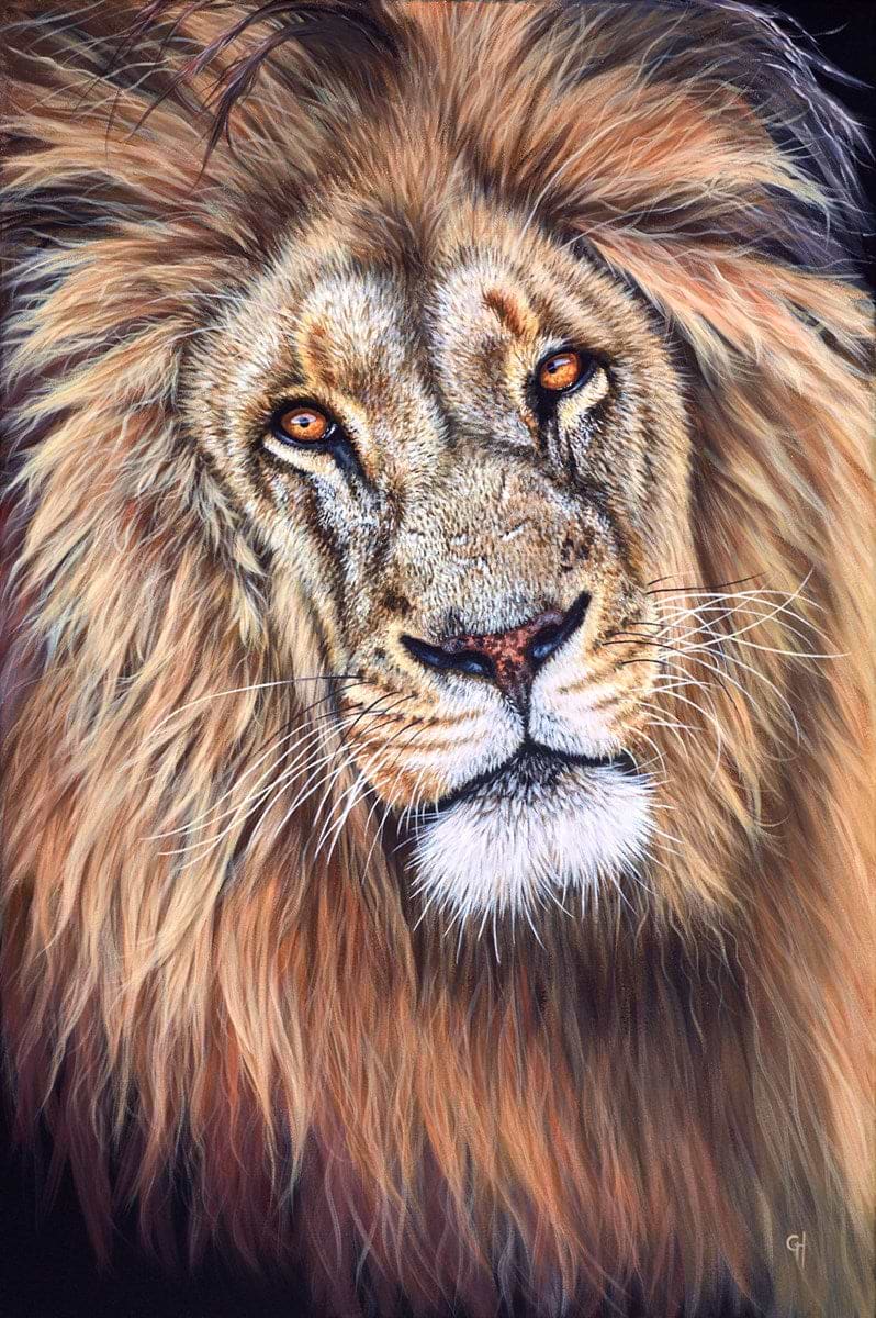 King of the Jungle III