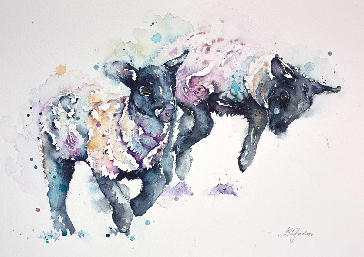 Springing Lambs