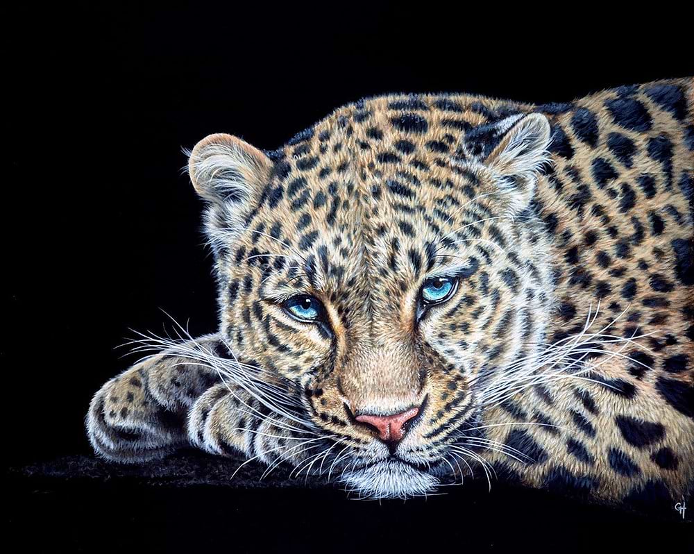 Relaxing Leopard