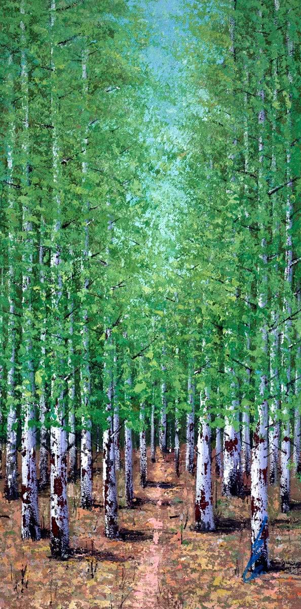A Forest Pathway