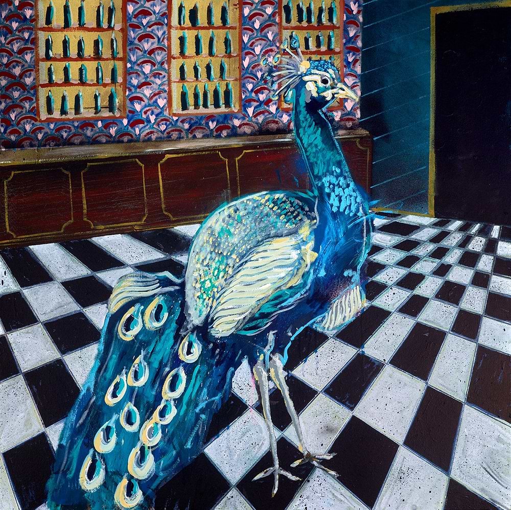 What a tremendous looking Peacock