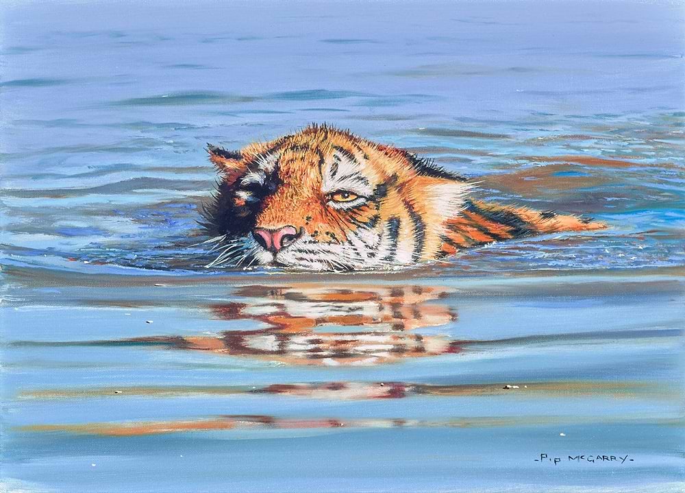 Tiger Cub in Water