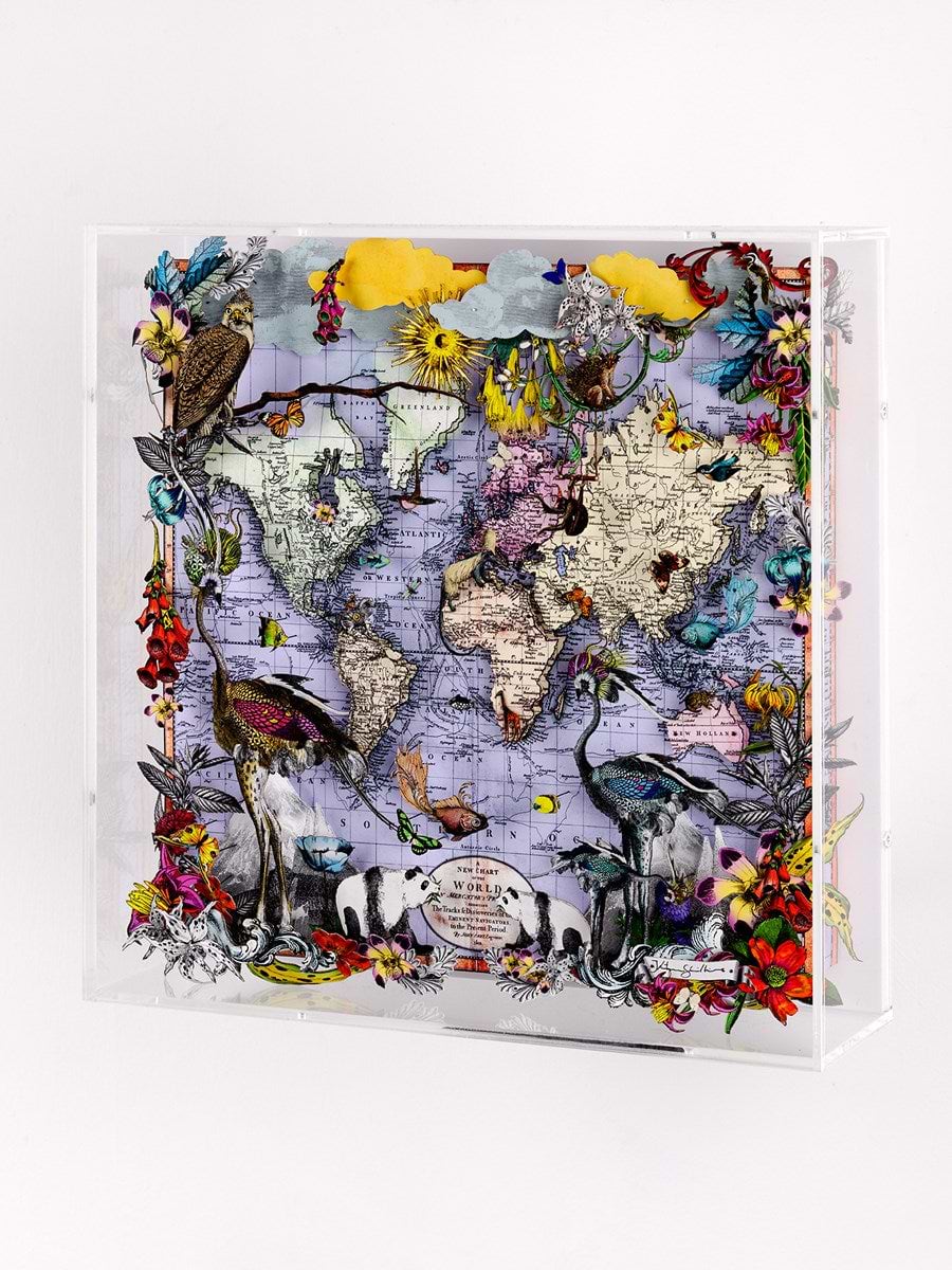 Navigators Floating Map - Ostrich Discoveries of the world (Detail1)