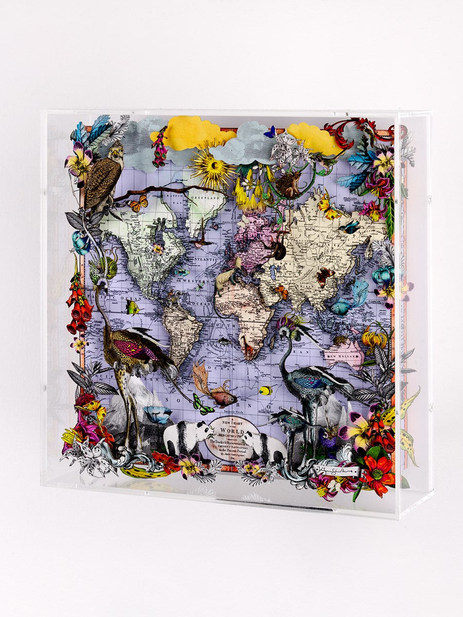 Navigators Floating Map - Ostrich Discoveries of the world (Detail1)