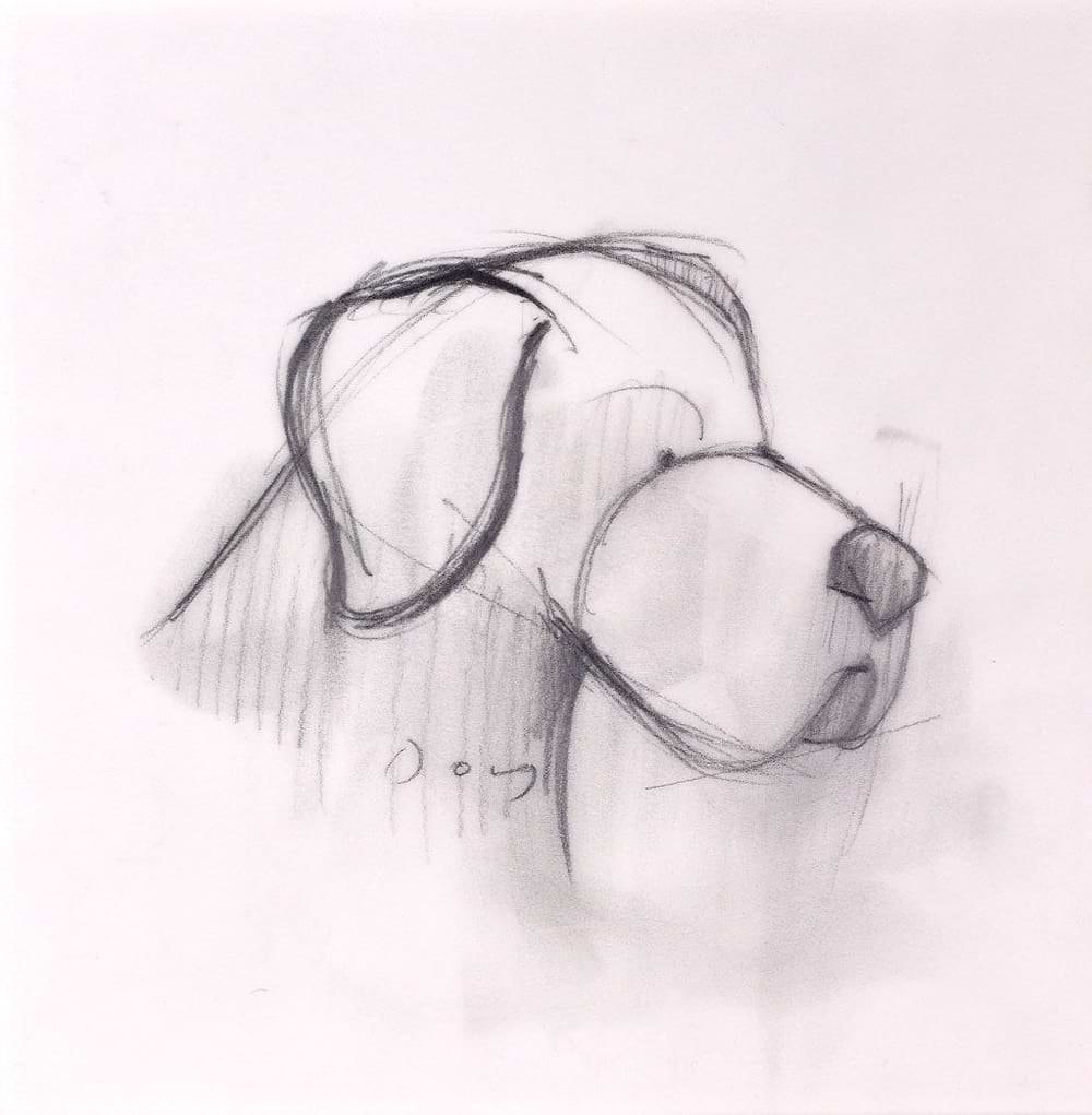 Always by your Side, dog (sketch)