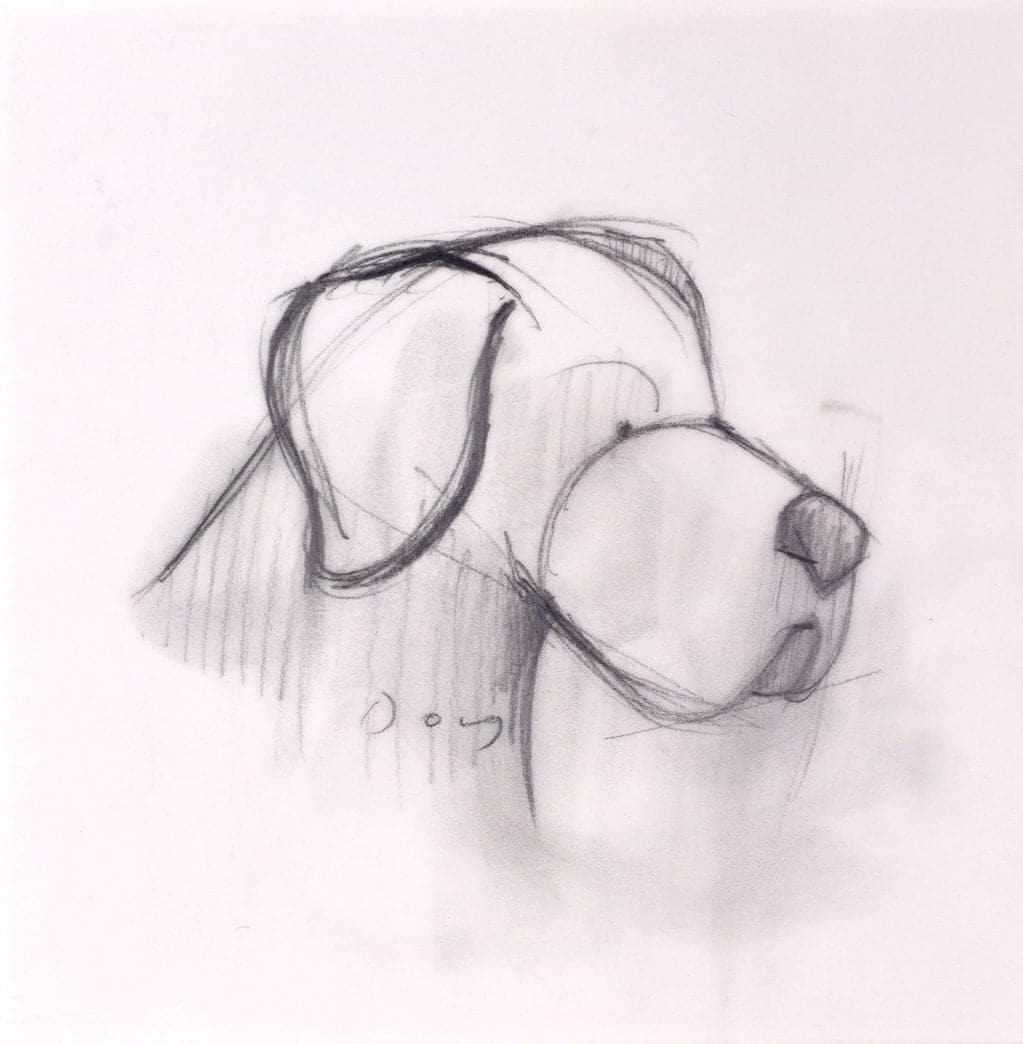 Always by your Side, dog (sketch)