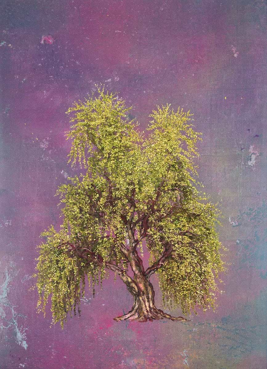 Weeping Willow