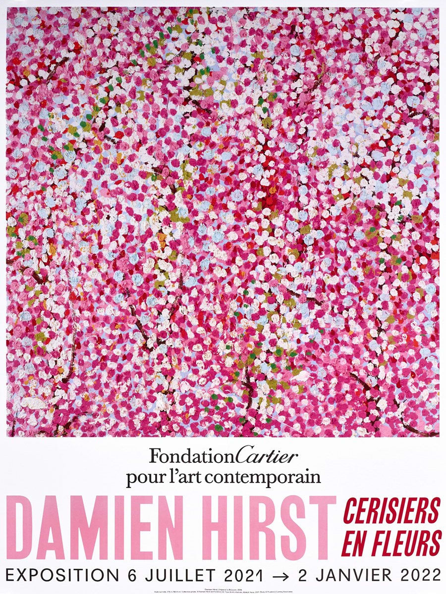 Cherry Blossoms