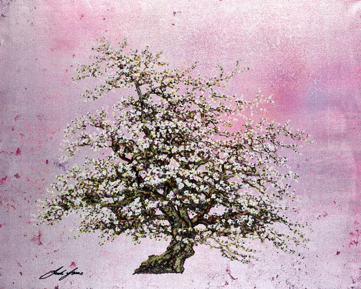 Floribunda