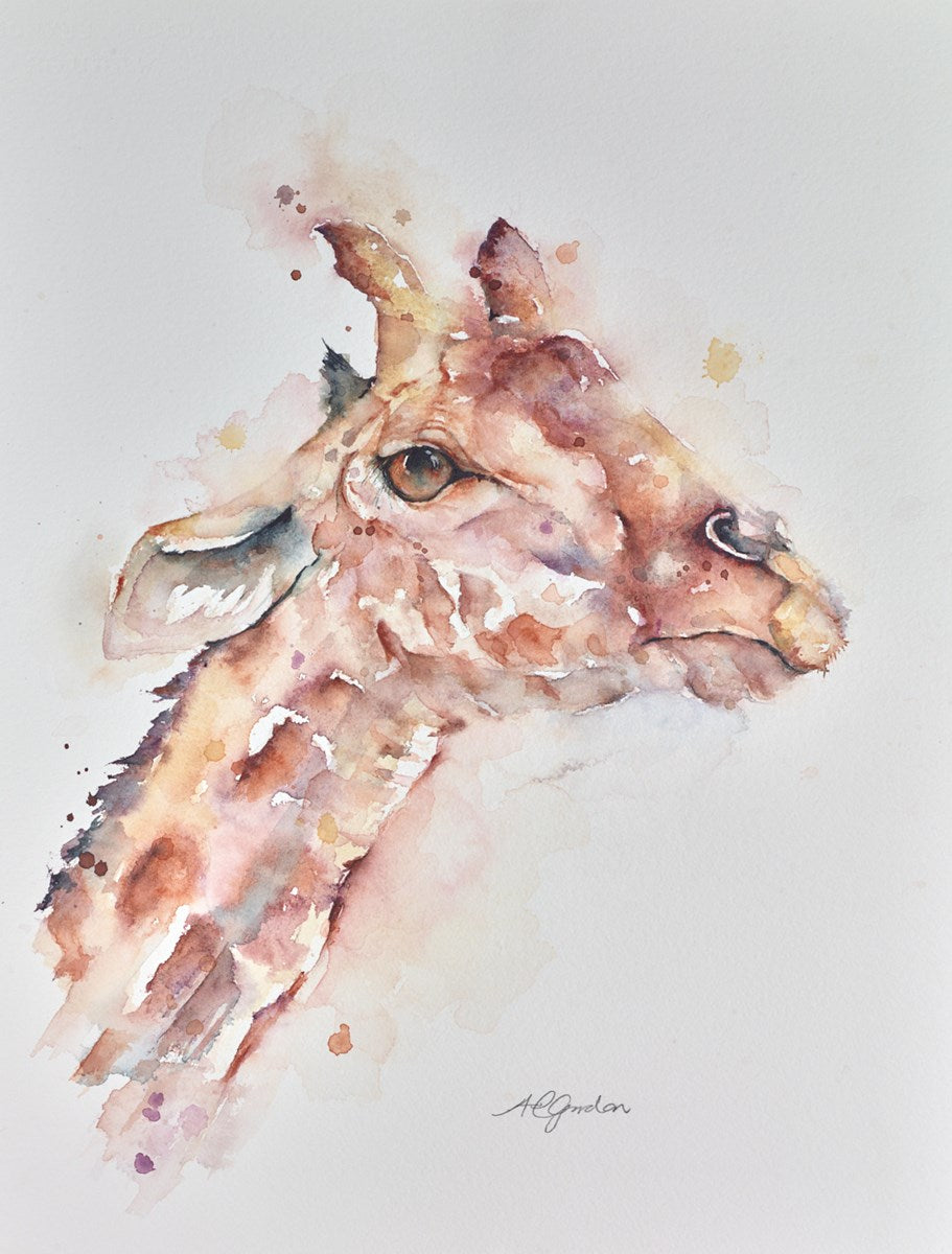 Thorncroft's Giraffe