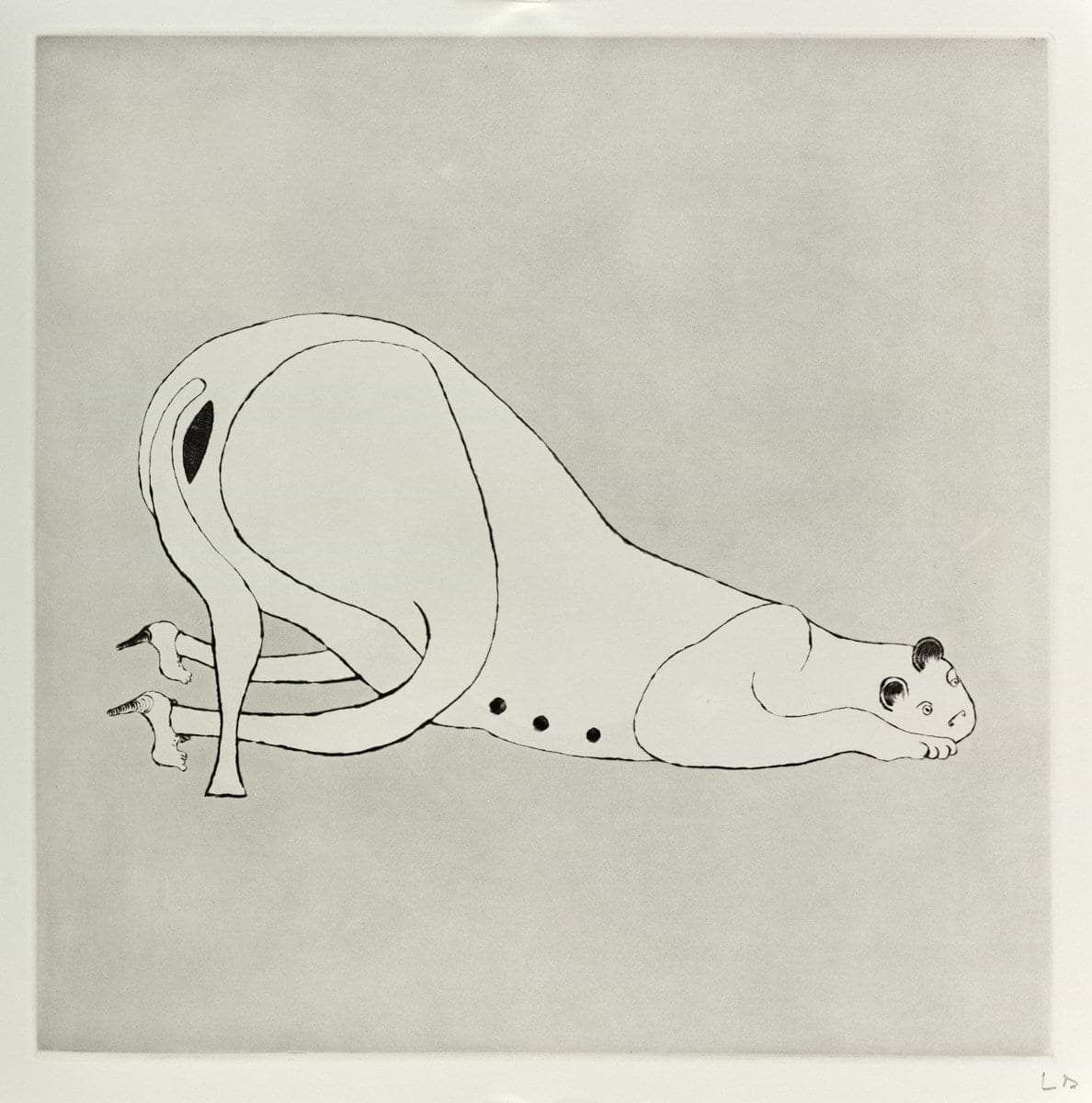 Plate 1 from Metamorfosis