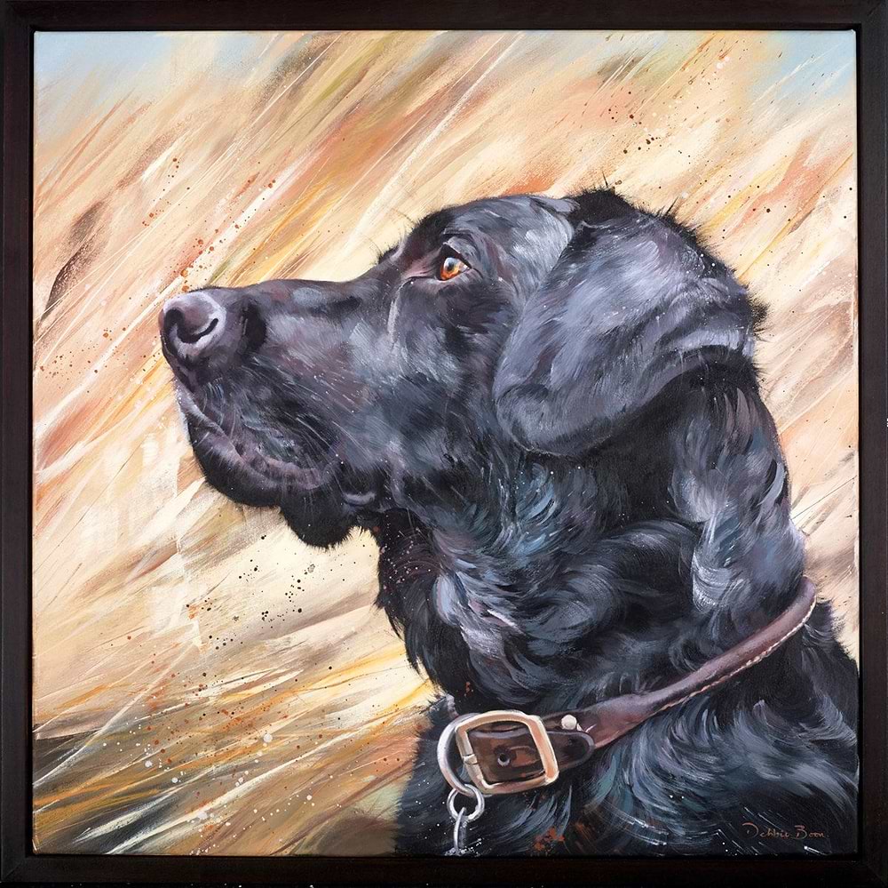 Black Labrador in Reeds