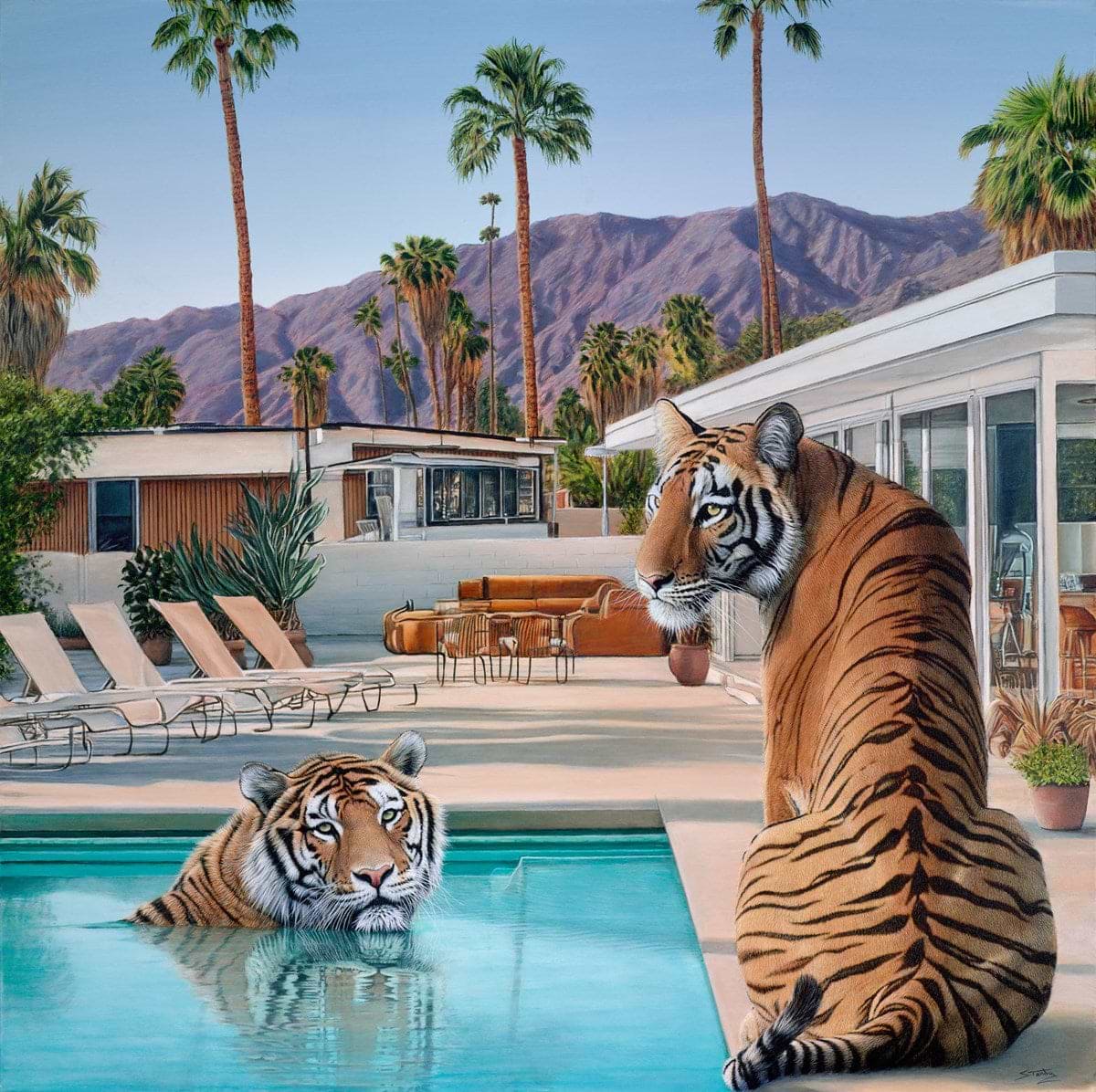 A Palm Springs Summer