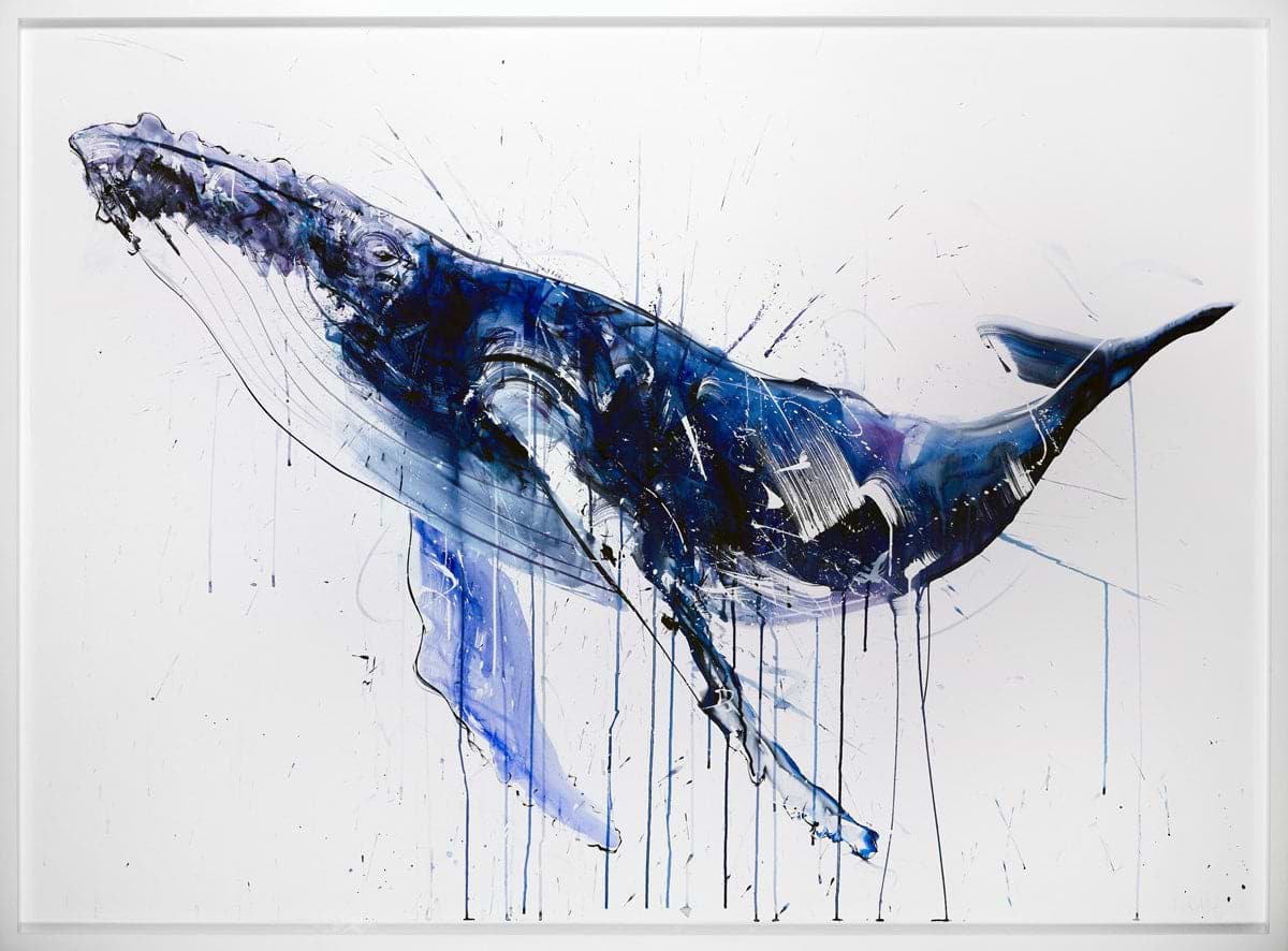 Humpback Whale II