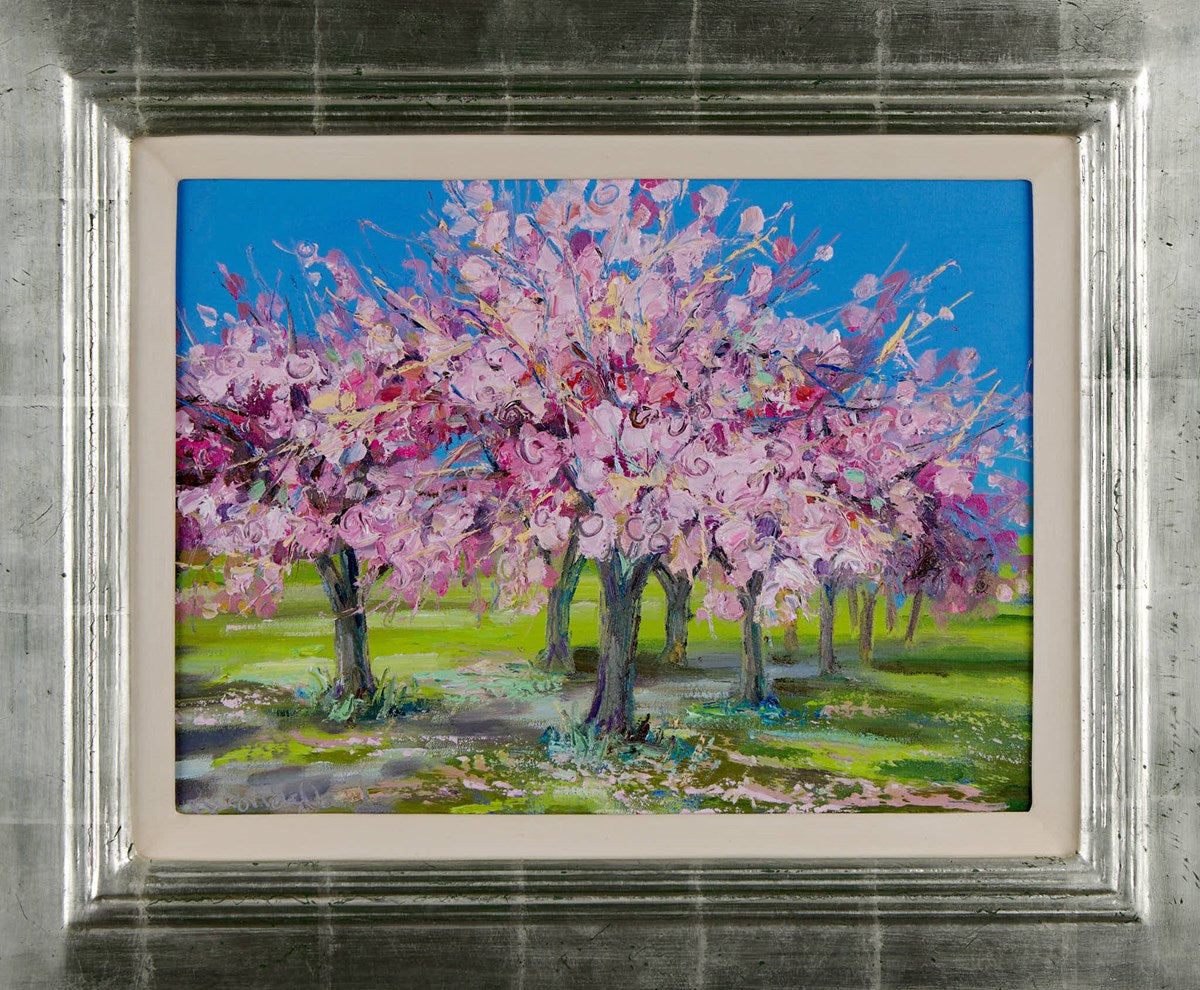 Cherry Trees in Blossom